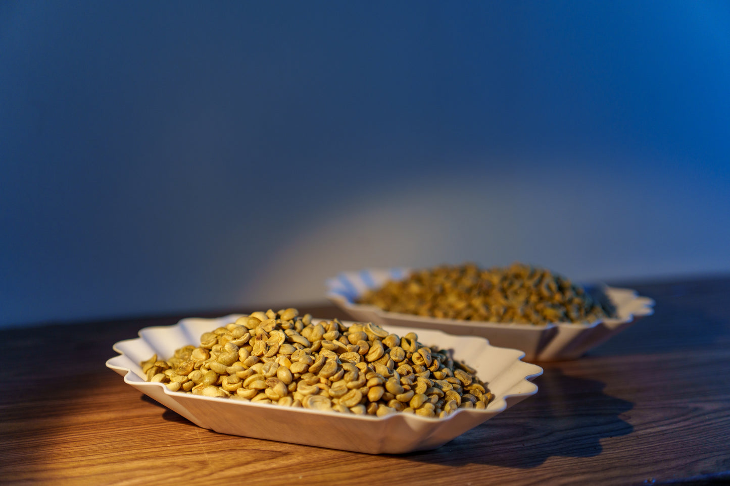 Robusta